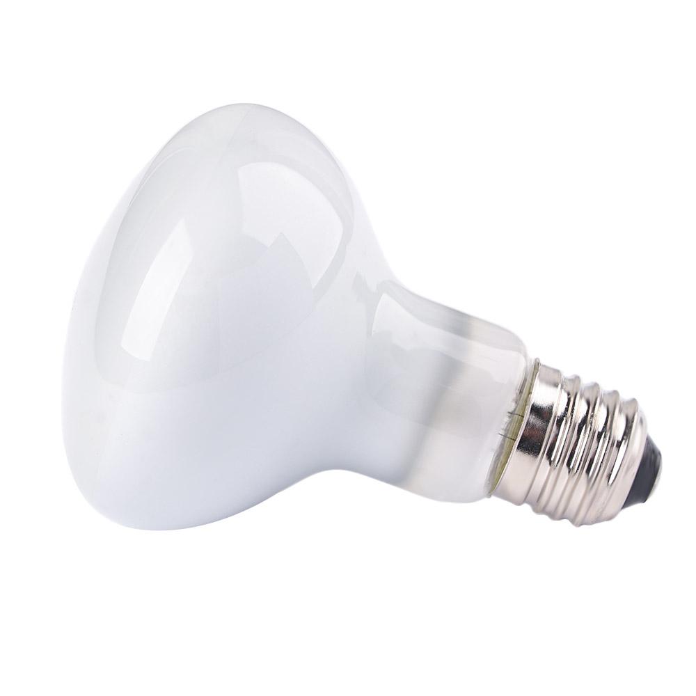 Basking Bulb Halogen - Regolatore di Temperatura per Anfibi, Riscaldatore,
