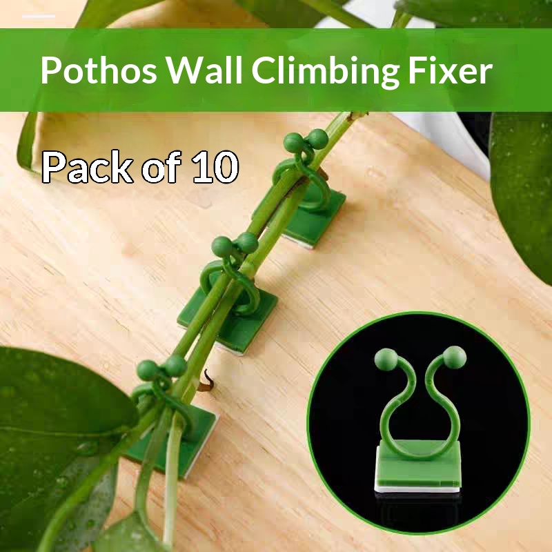 Vine Climbing Plastic - Clip Autoadesive per Piante Rampicanti, Ganci
