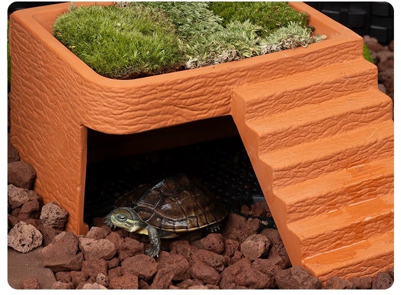 Piattaforma per il Basking del - Hide Cave Ceramic recensione e prezzo