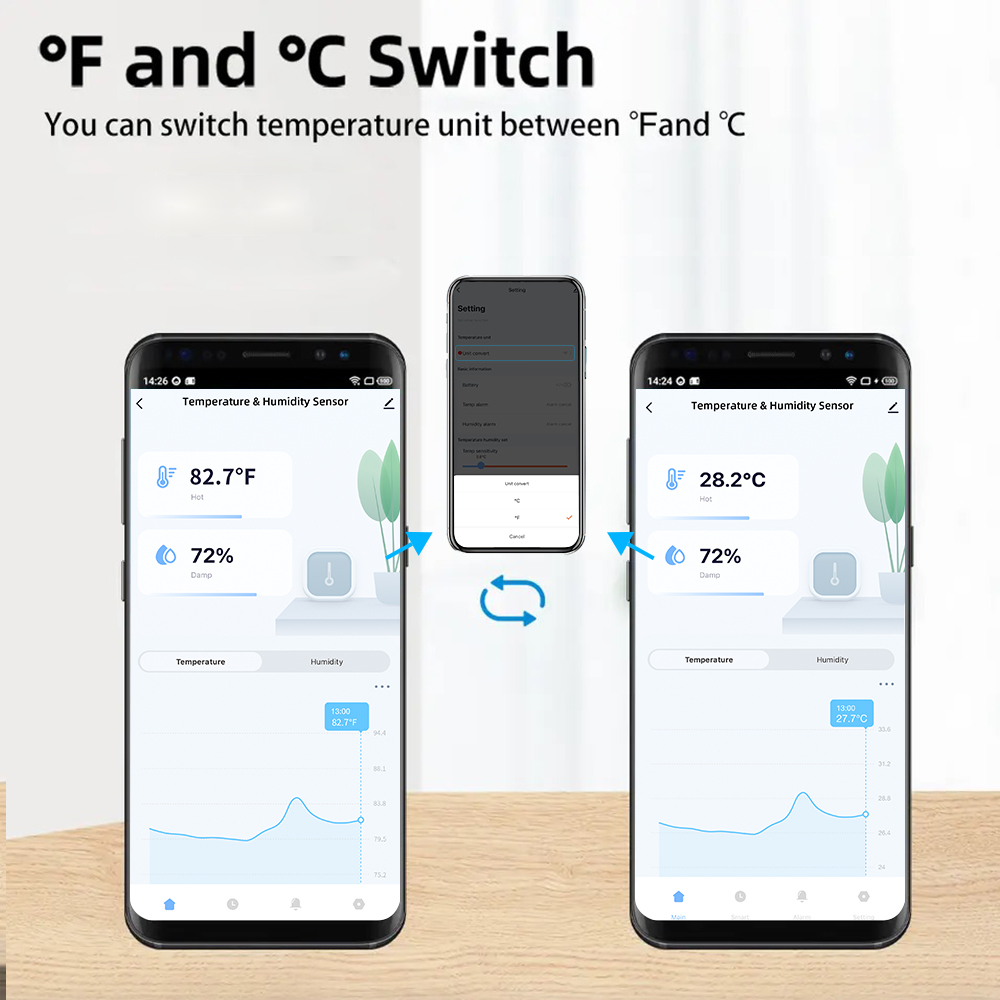 Sensore di Temperatura e Umidi - Digital Hygrometer Probe recensione e prezzo