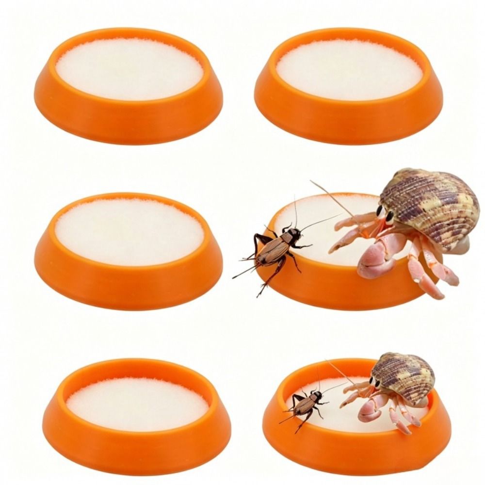 Set di 6 Ciotole Portatili Riu - Water Dish Reptile recensione e prezzo