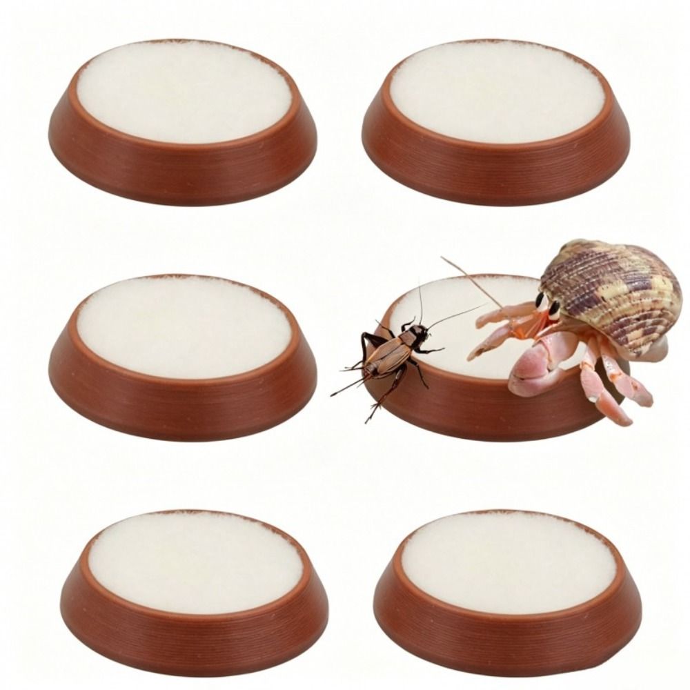 Set di 6 Ciotole Portatili Riu - Water Dish Reptile recensione e prezzo