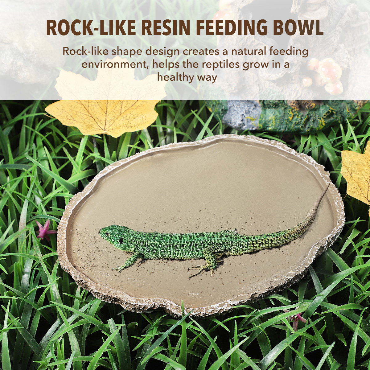 Ciotola per l'alimentazione de - Water Dish Reptile recensione e prezzo