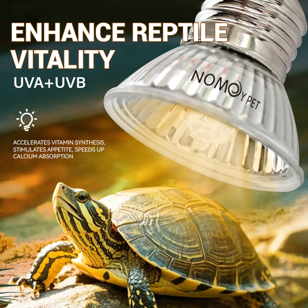 Lampada UVA UVB 50W per Rettil - Vitamin D3 Reptile recensione e prezzo