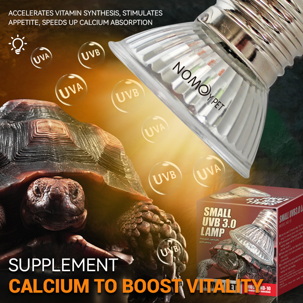 Lampada UVA UVB 50W per Rettil - Vitamin D3 Reptile recensione e prezzo