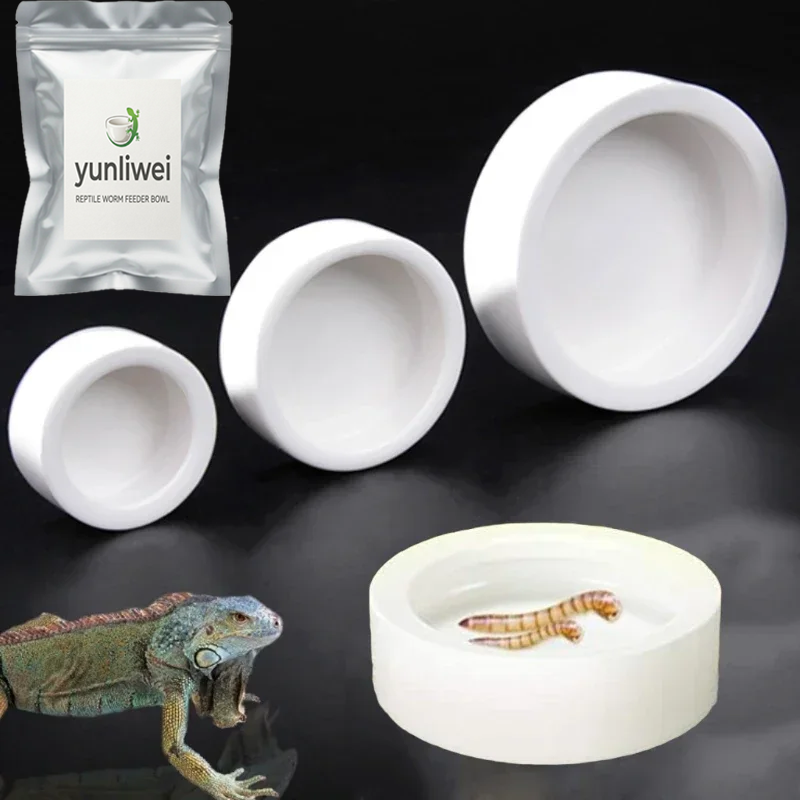 Ciotola per cibo per rettili a - Water Dish Reptile recensione e prezzo