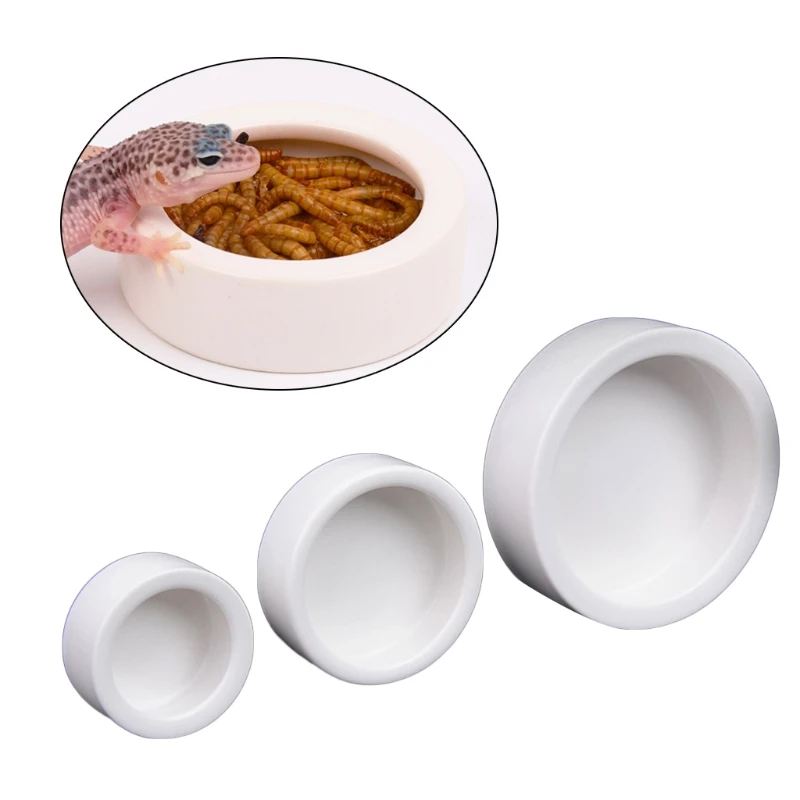 Ciotola per cibo per rettili a - Water Dish Reptile recensione e prezzo