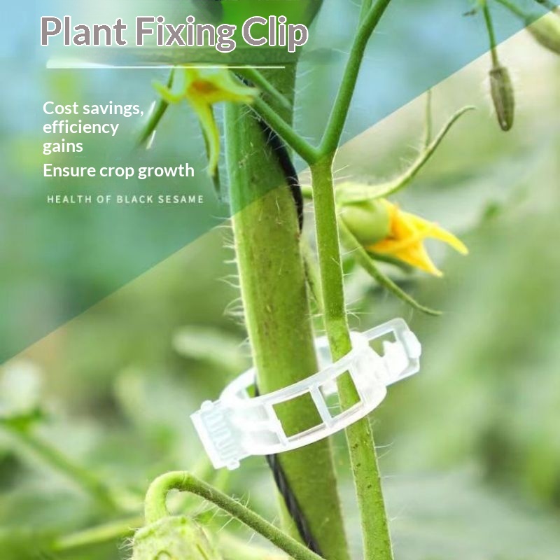 Clip di Supporto per Piante in - Vine Climbing Plastic recensione e prezzo