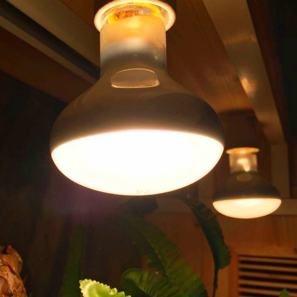 Lampada Riscaldante per Tartar - Basking Bulb Halogen recensione e prezzo